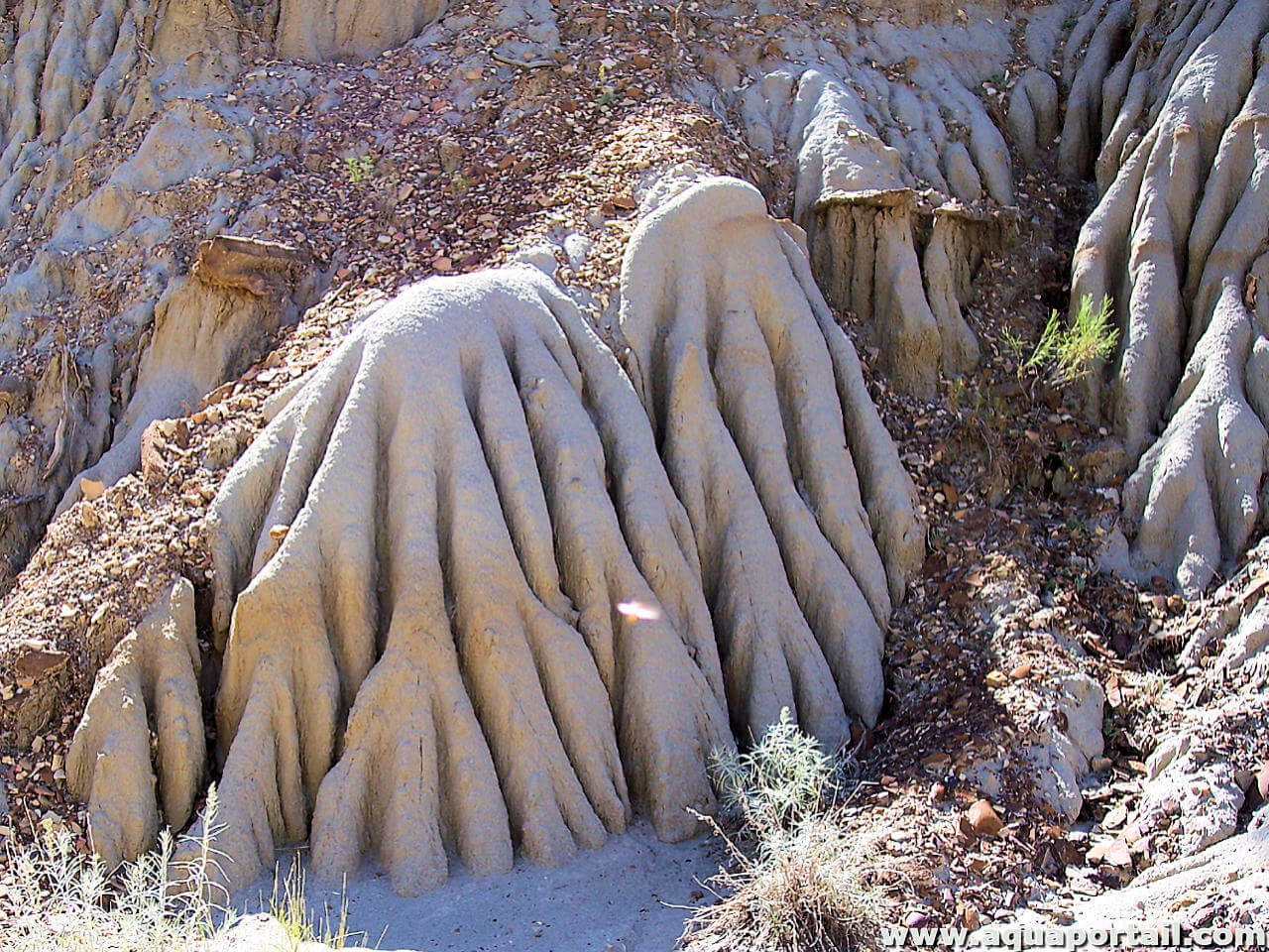 bentonite